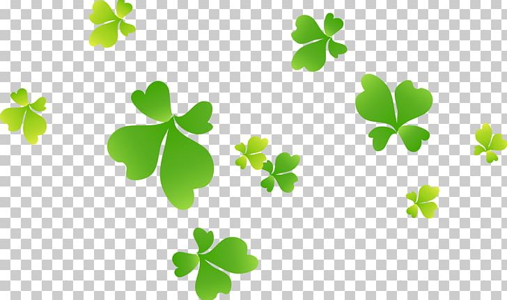 Four-leaf Clover Four-leaf Clover PNG, Clipart, Clover Vector, Cups, Decorative Pattern, Download, Float Free PNG Download