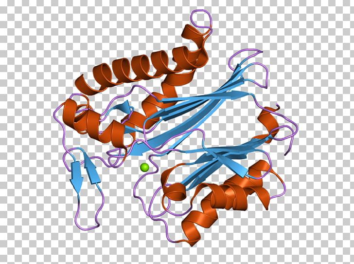 PPM1K Protein Phosphatase Ensembl PNG, Clipart, Domain, Ebi, Ensembl, Enzyme, Gene Free PNG Download