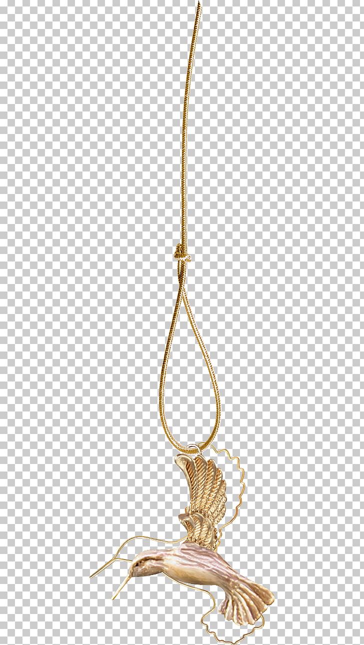 Rope Gold Photography PNG, Clipart, Christmas, Download, Eagle, Eagles, Eagle Wings Free PNG Download