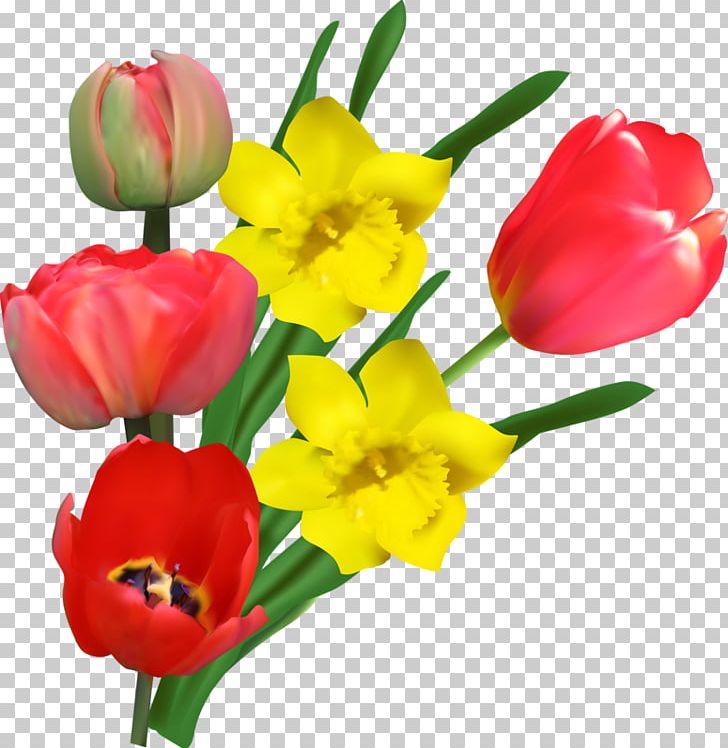 Tulip Yellow Flower Red Pink PNG, Clipart, Color, Cut Flowers, Daffodil, Designer, Floral Design Free PNG Download
