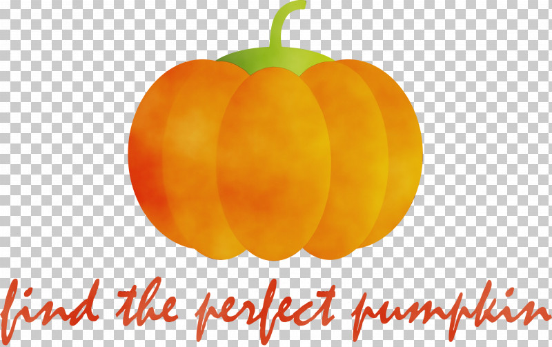 Mandarin Orange Tangerine Gourd Winter Squash PNG, Clipart, Autumn Color, Autumn Harvest, Computer, Gourd, Happy Autumn Free PNG Download