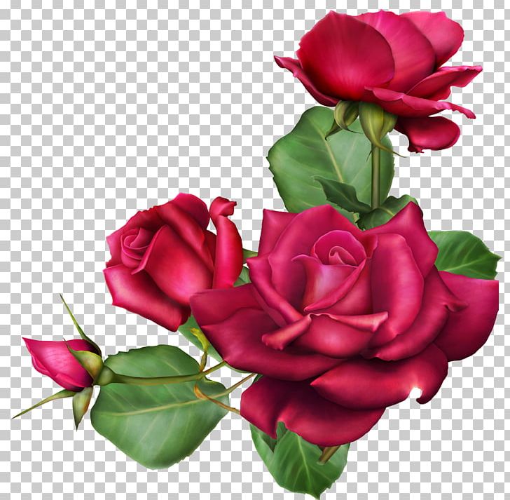 Autumn's Wish Cut Flowers Garden Roses Flower Bouquet PNG, Clipart, Artificial Flower, Centifolia Roses, China Rose, Cut Flowers, Floral Design Free PNG Download