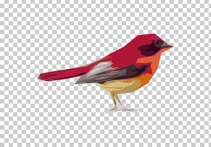Bird House Sparrow PNG, Clipart, Animals, Bald Eagle, Beak, Bird, Bird Flight Free PNG Download