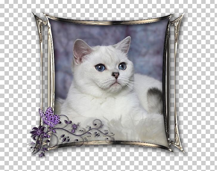 British Shorthair Domestic Short-haired Cat Whiskers Kitten Point Coloration PNG, Clipart, Animals, British Shorthair, Cat, Cat Like Mammal, Cushion Free PNG Download