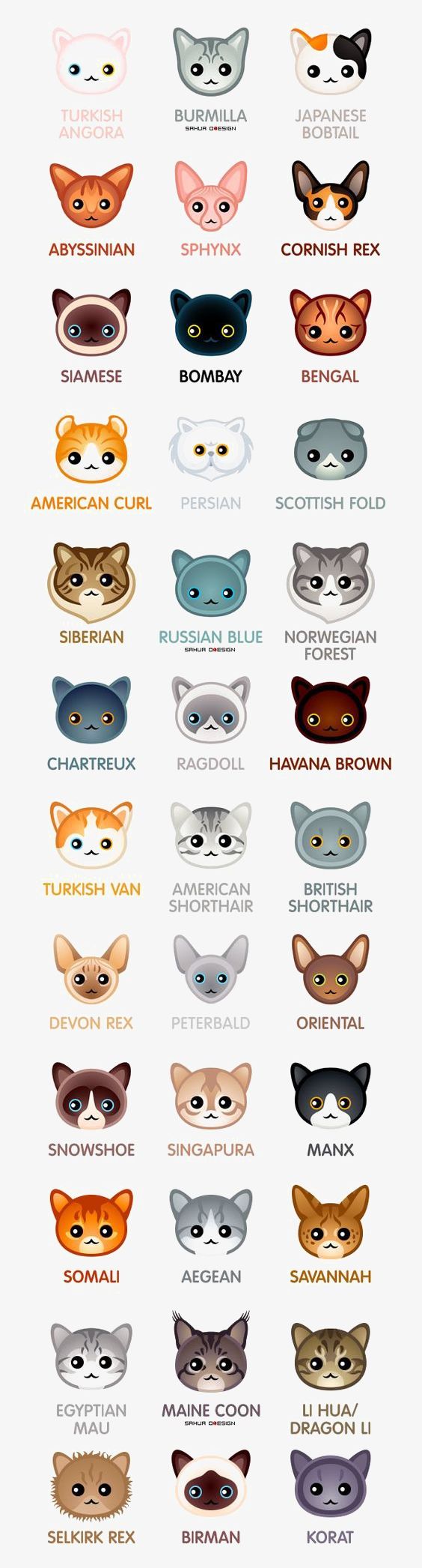 Pet Head PNG, Clipart, Avatar, Cartoon, Cat, Dog, Dog Avatar Free PNG Download