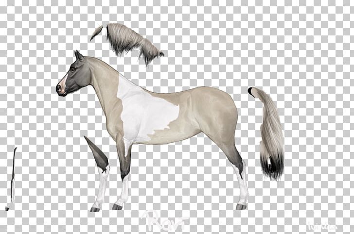 Mane Mustang Stallion Foal Mare PNG, Clipart, Bridle, Colt, Fauna, Foal, Halter Free PNG Download