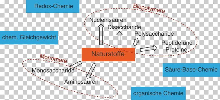 Natural Product Organic Chemistry Digitales Schulbuch Wikipedia PNG, Clipart, Angle, Area, Biology, Chemie, Chemistry Free PNG Download