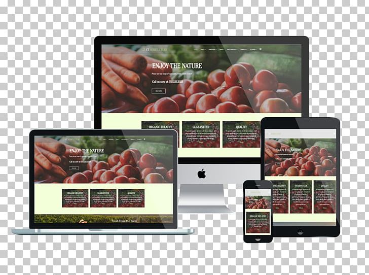 Responsive Web Design Web Template System WordPress PNG, Clipart, Brand, Cafe, Data, Display Advertising, Display Device Free PNG Download
