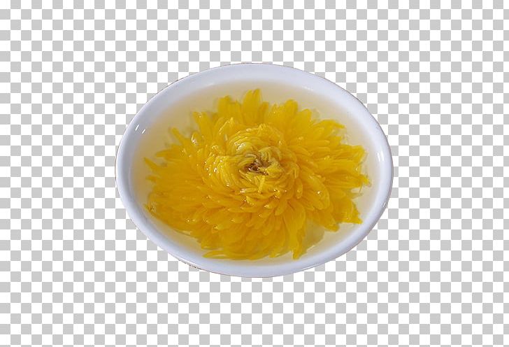 Chrysanthemum Tea Flowering Tea PNG, Clipart, Calendula, Chawan, Chrysanthemum, Chrysanthemum Tea, Coffee Cup Free PNG Download