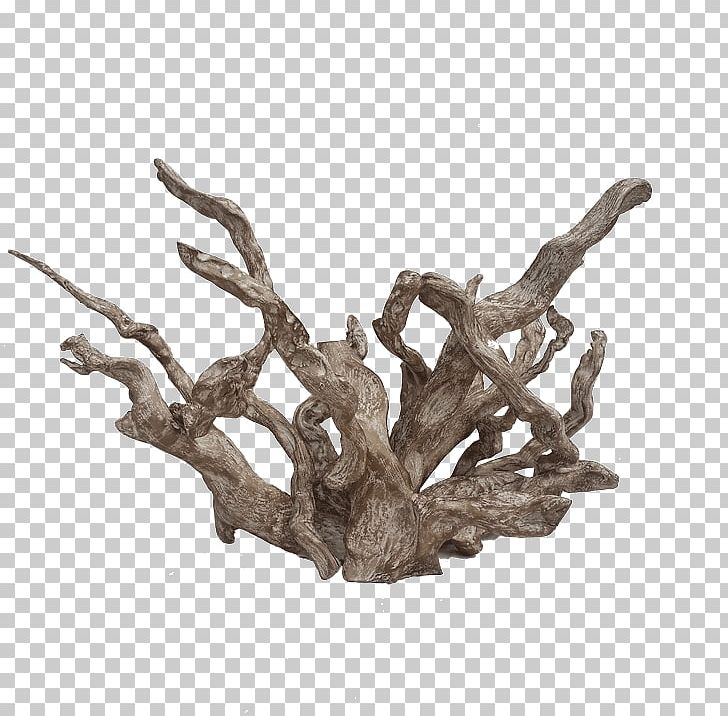 Driftwood Art White River Coral PNG, Clipart, Art, Branch, Com, Coral, Driftwood Free PNG Download