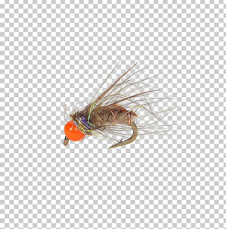 Artificial Fly Caddisflies Pupa Elk Hair Caddis Fly Fishing PNG, Clipart, Artificial Fly, Cdc, Cinnamon, Elk Hair Caddis, Fishing Bait Free PNG Download