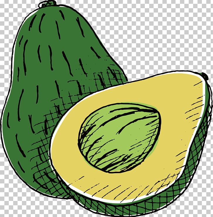 Avocado Drawing PNG, Clipart, Cartoon, Food, Fruit, Fruit Nut, Grass Free PNG Download