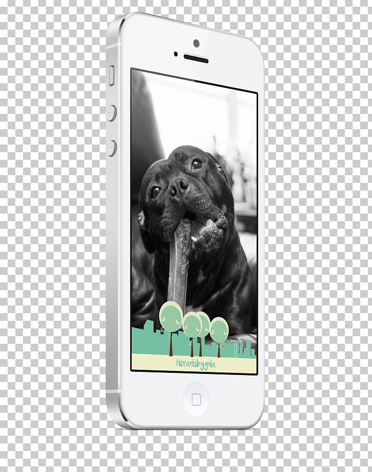 Labrador Retriever Smartphone Puppy Dog Breed Mobile Phone Accessories PNG, Clipart, Breed, Dog Breed, Dog Like Mammal, Electronic Device, Electronics Free PNG Download