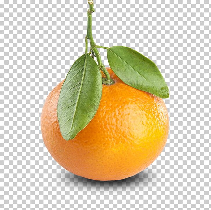Tangerine Mandarin Orange Clementine Fruit Color PNG, Clipart, Bitter Orange, Calamondin, Cave Of Acropolis, Chenpi, Citric Acid Free PNG Download