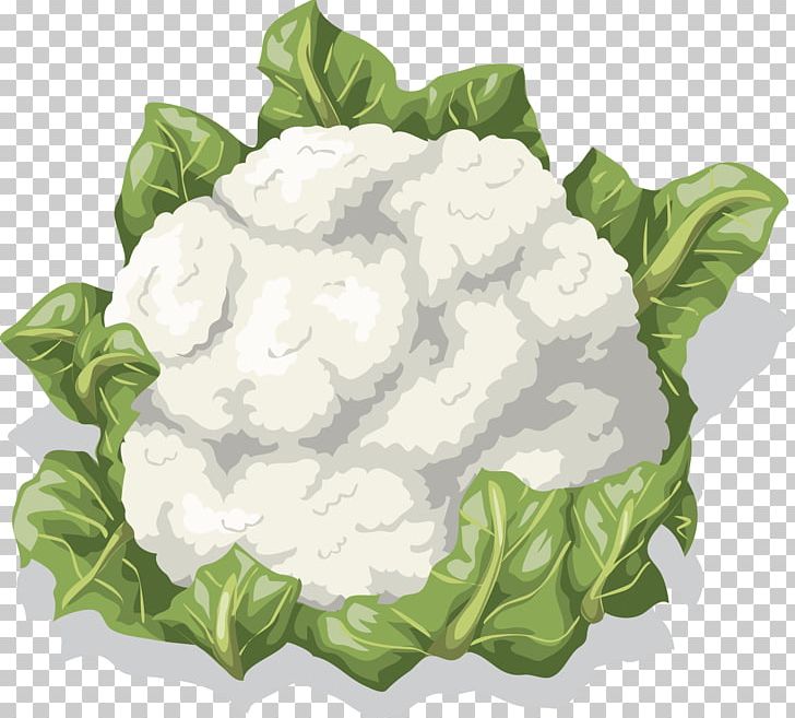 Cauliflower Vegetable Food PNG, Clipart, Cabbage, Cartoon, Cartoon Cauliflower, Cauliflower Carrot Cucumber, Cauliflower Smile Free PNG Download