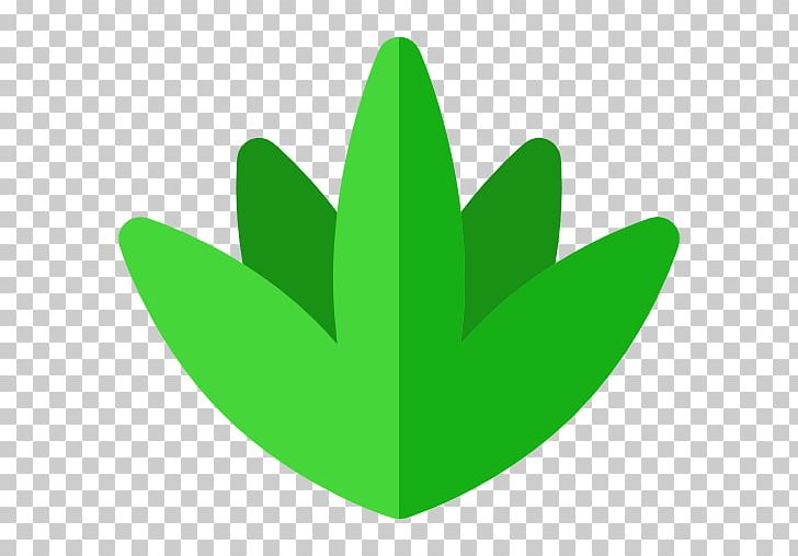 Computer Icons Plant PNG, Clipart, Agave, Agave Azul, Clip Art, Computer Icons, Download Free PNG Download