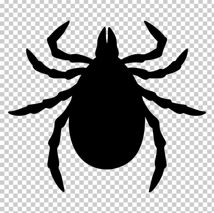 Deer Tick Tick-borne Disease American Dog Tick PNG, Clipart, American Dog Tick, Arachnid, Art, Arthropod, Artwork Free PNG Download