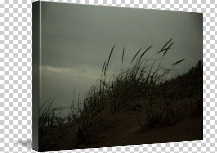 Painting Frames Wood /m/083vt Sky Plc PNG, Clipart, Art, Landscape, M083vt, Painting, Picture Frame Free PNG Download