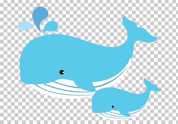 Whale Infant Mother PNG, Clipart, Animals, Aqua, Area, Azure, Baby Animals Free PNG Download