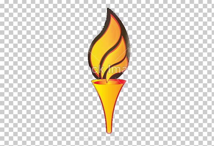 Flame Logo Fire PNG, Clipart, Camera Logo, Computer Software, Download, Drawing, Fire Free PNG Download