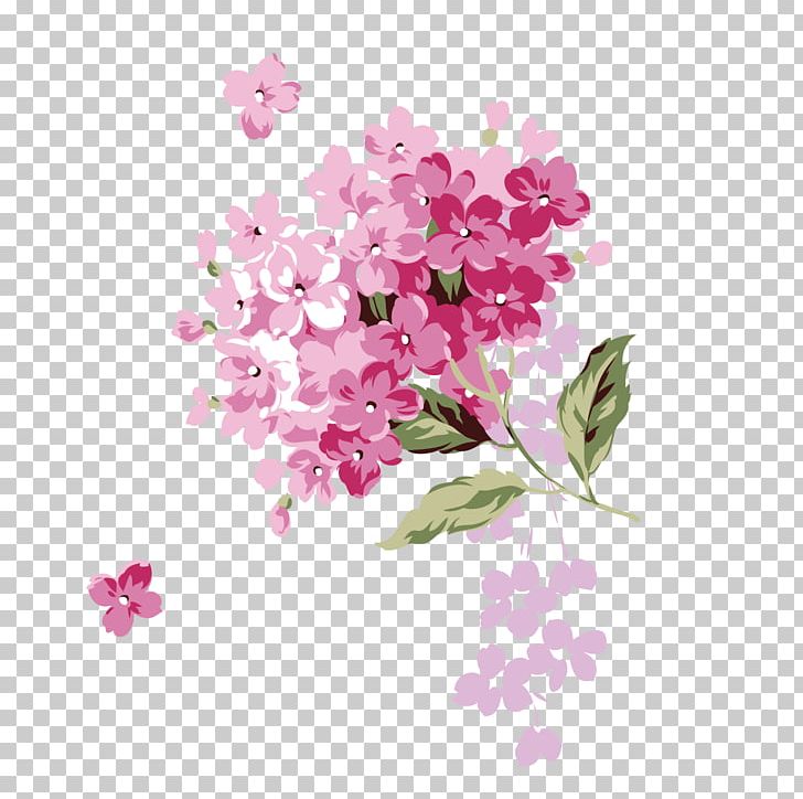 Flower Adobe Illustrator PNG, Clipart, Blossom, Blossoms, Branch, Cherry, Encapsulated Postscript Free PNG Download
