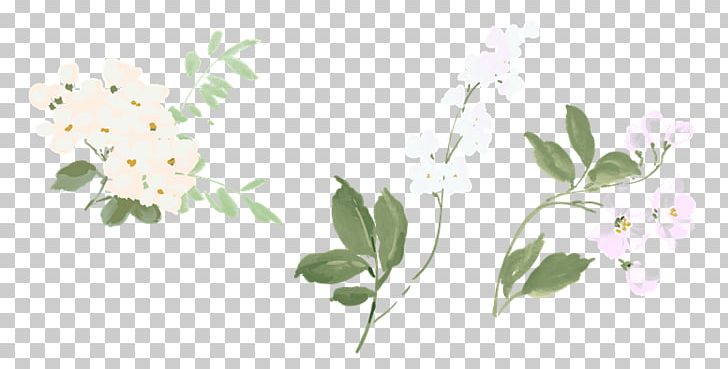 Flowering Tea Cut Flowers PNG, Clipart, Arabian Jasmine, Blossom, Branch, Cut Flowers, Flora Free PNG Download