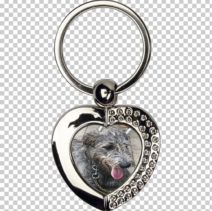 Key Chains Keyring Hedgehog Gift PNG, Clipart, Animal, Animals, Body Jewelry, Charms Pendants, Dog Like Mammal Free PNG Download