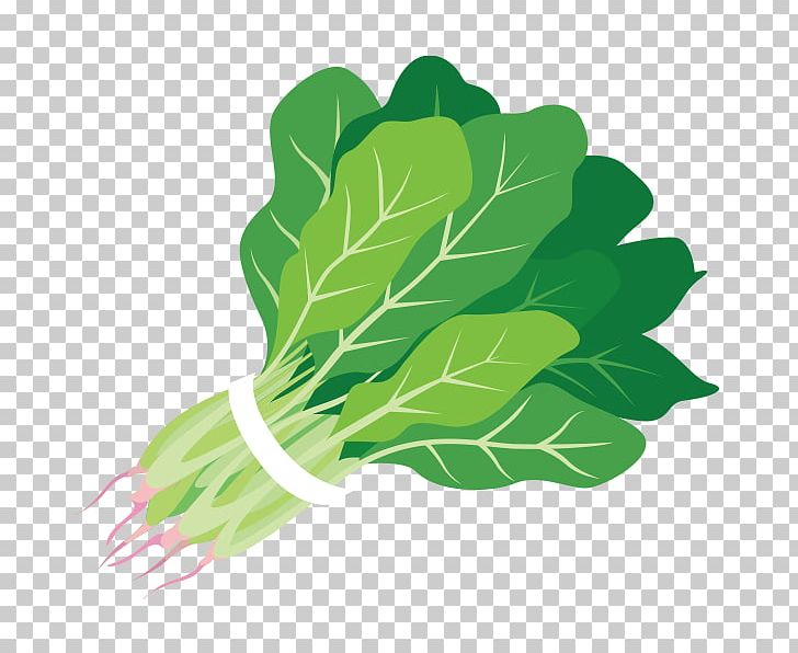 Spinach Food Salad Juice PNG, Clipart, Chard, Clip Art, Dietary Fiber, Dinner, Folate Free PNG Download