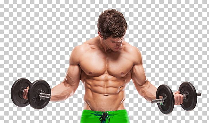 Stock Photography Weight Training Exercise Muscle Bodybuilding PNG, Clipart,  Free PNG Download