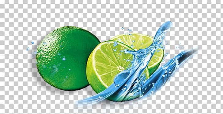 Lime Icon PNG, Clipart, Citrus, Computer Wallpaper, Download, Encapsulated Postscript, Euclidean Vector Free PNG Download