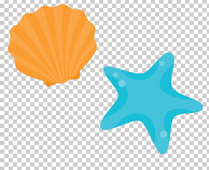 Shore Seashell Beach PNG, Clipart, Animals, Balloon Cartoon, Boy Cartoon, Cartoon, Cartoon Character Free PNG Download