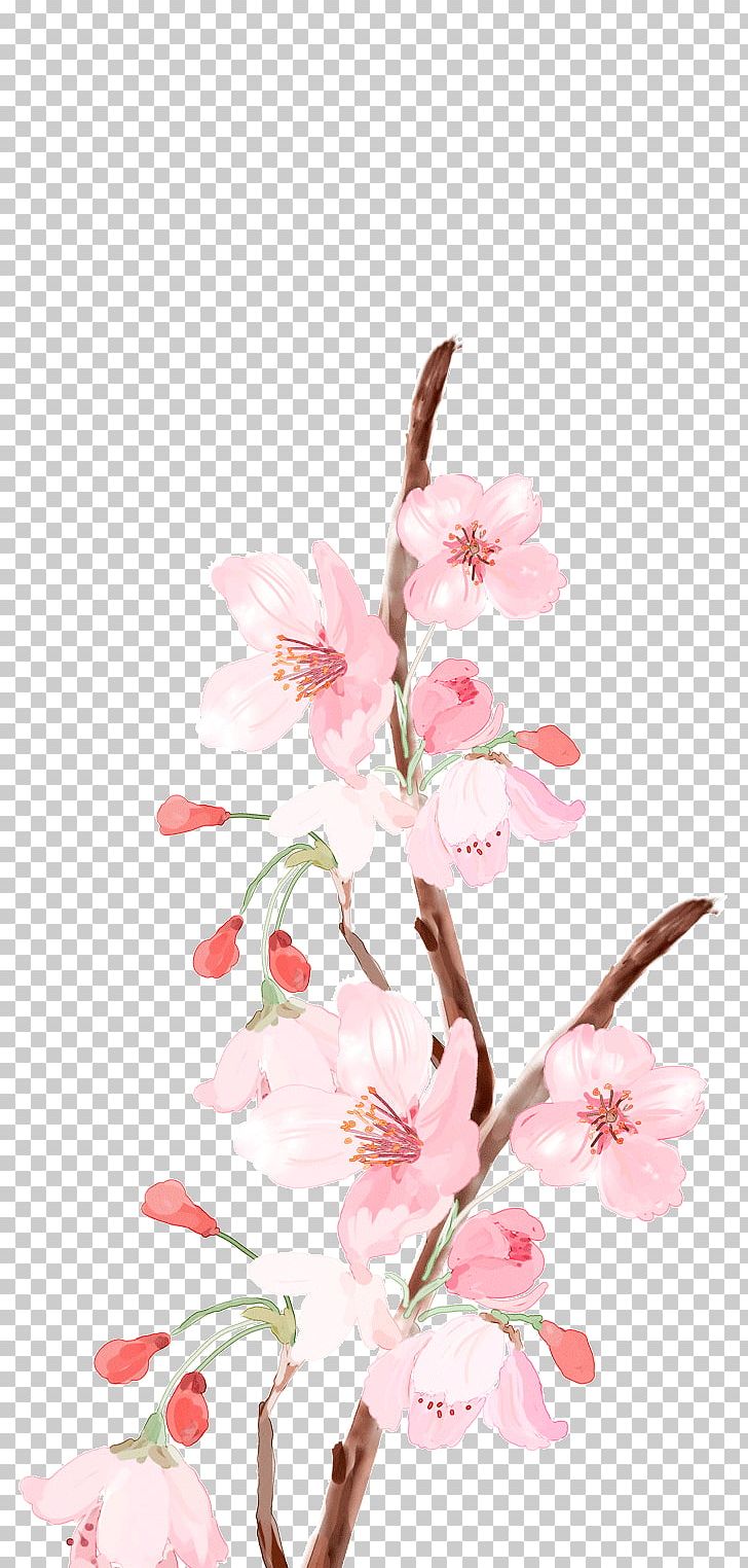 Flower Pink Color PNG, Clipart, Blossom, Branch, Cherry Blossom, Color, Download Free PNG Download