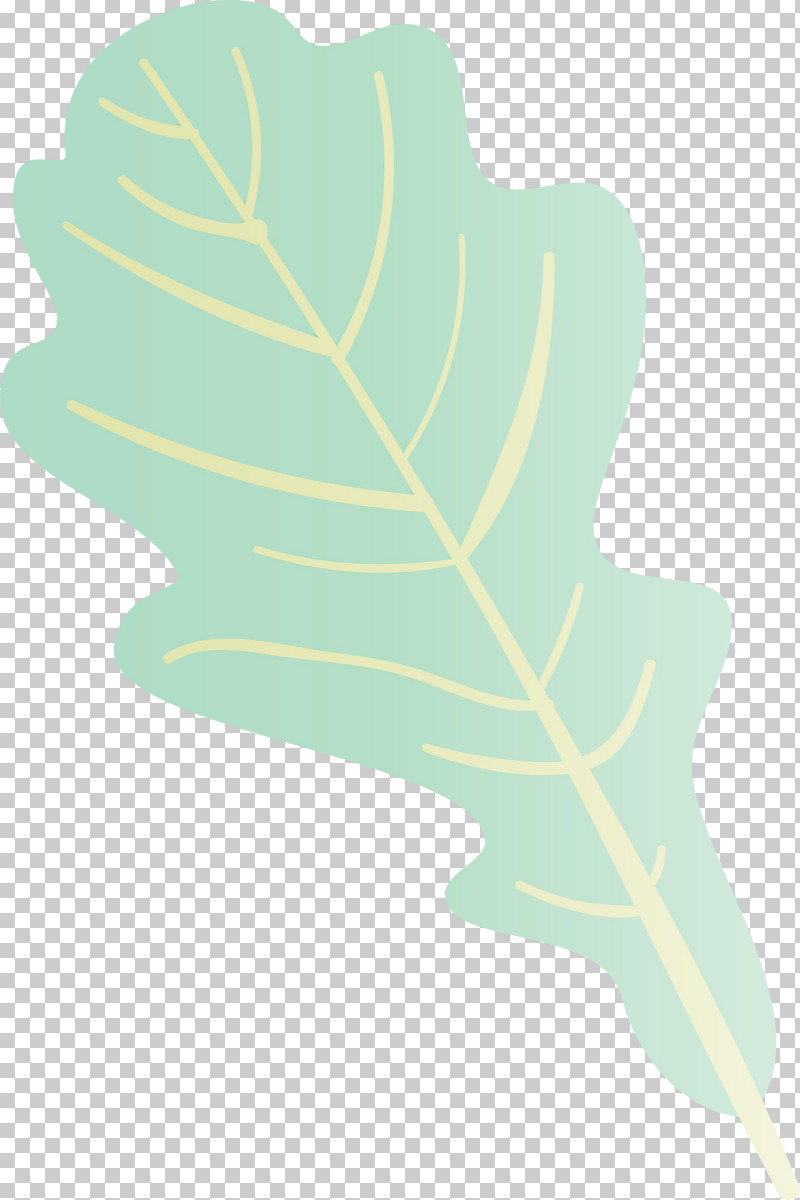 Leaf Plant Stem Green M-tree Tree PNG, Clipart, Autumn Leaf, Biology, Colorful Leaf, Colorful Leaves, Colourful Foliage Free PNG Download