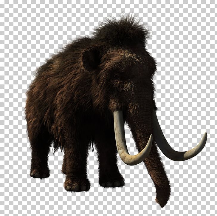 T-shirt Mammoth Spreadshirt Cap PNG, Clipart, African Elephant, Animal, Clothing, Download, Elephant Free PNG Download