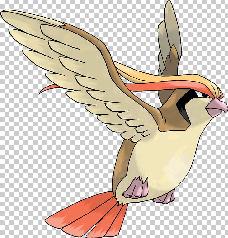 Pokémon Omega Ruby And Alpha Sapphire Pidgeotto Pokédex PNG, Clipart, Art, Beak, Bird, Bird Of Prey, Carnage Free PNG Download