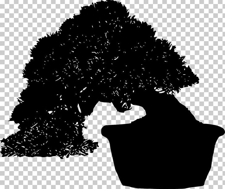 Tree Silhouette Bonsai PNG, Clipart, Black, Black And White, Bonsai, Houseplant, Monochrome Free PNG Download