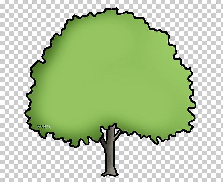 Ulmus Americana PNG, Clipart, Elm, Elm Tree, Grass, Green, Home Page Free PNG Download