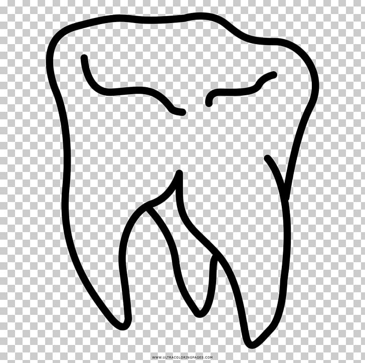 Wisdom Tooth Drawing Coloring Book PNG, Clipart, Area, Art, Black, Black And White, Coloring Book Free PNG Download