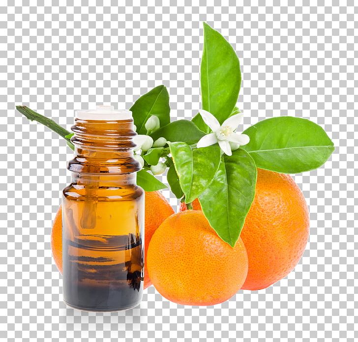 Anti-aging Cream Wrinkle Ageing Vitamin C PNG, Clipart, Antiaging Cream, Argan Oil, Citric Acid, Citrus, Clementine Free PNG Download