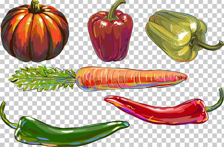 Bell Pepper Chili Pepper Vegetable Illustration PNG, Clipart, Bell Peppers And Chili Peppers, Black Pepper, Cartoon, Cayenne Pepper, Chili Free PNG Download