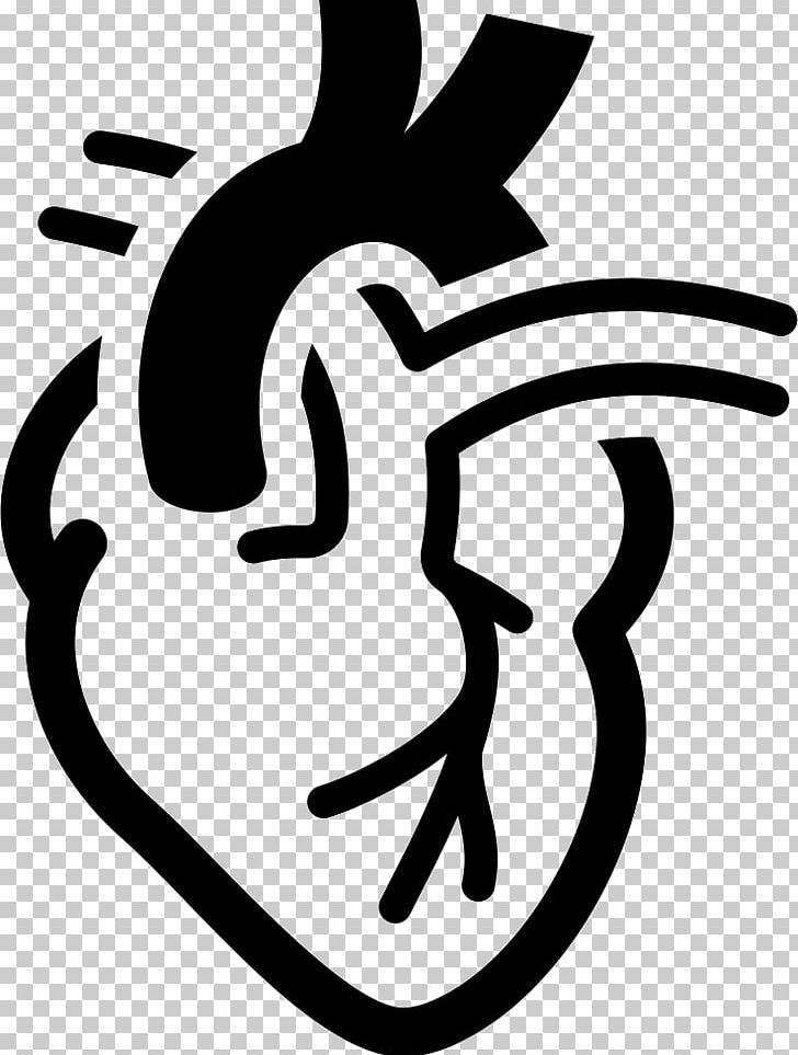 Cardiology Electrocardiography Medicine Heart Hemodynamics PNG, Clipart, Artwork, Black And White, Cardiology, Cardiovascular Disease, Computer Icons Free PNG Download