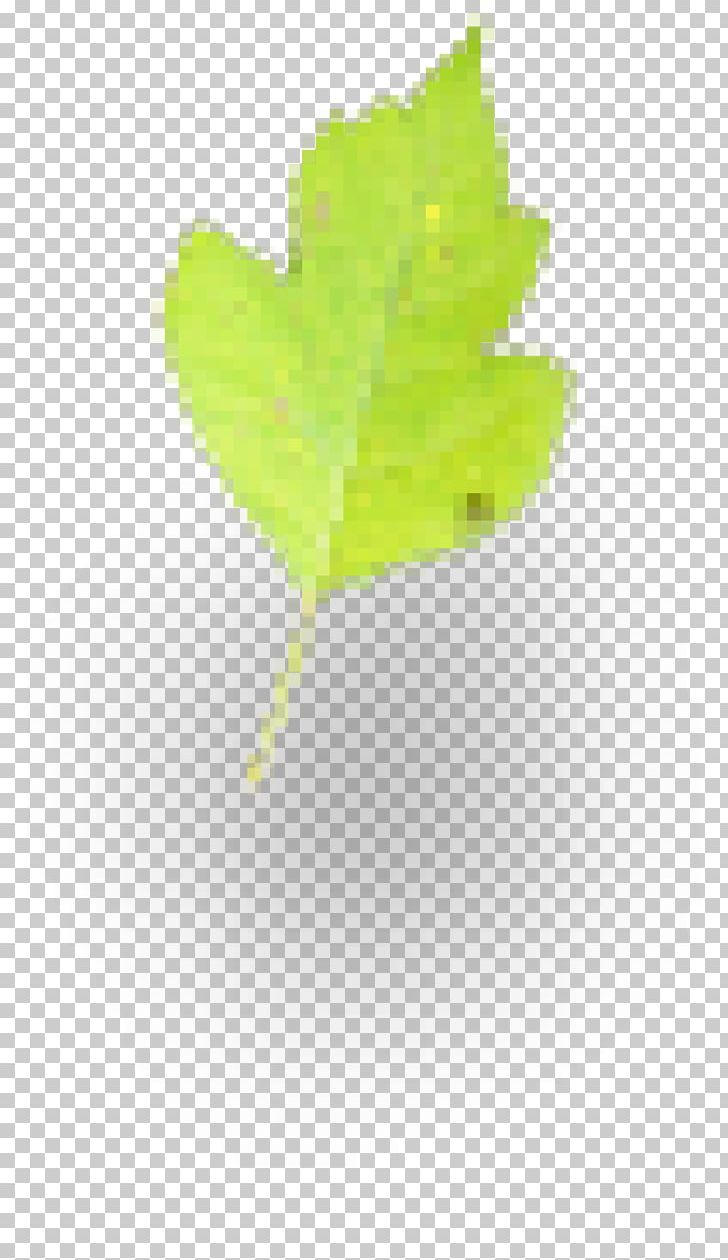 Leaf Desktop Computer Plant Stem PNG, Clipart, Alarm, Computer, Computer Wallpaper, Desktop Wallpaper, Example Free PNG Download