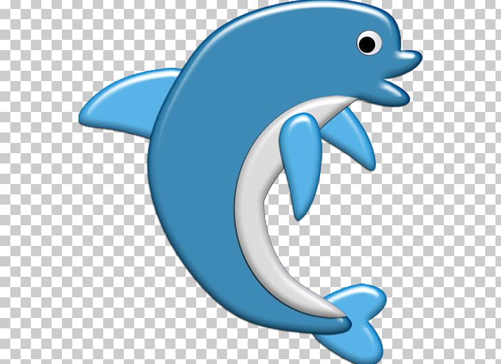 Tucuxi Common Bottlenose Dolphin Marine Mammal Animal PNG, Clipart, Animal, Beak, Blue, Bottlenose Dolphin, Cetacea Free PNG Download