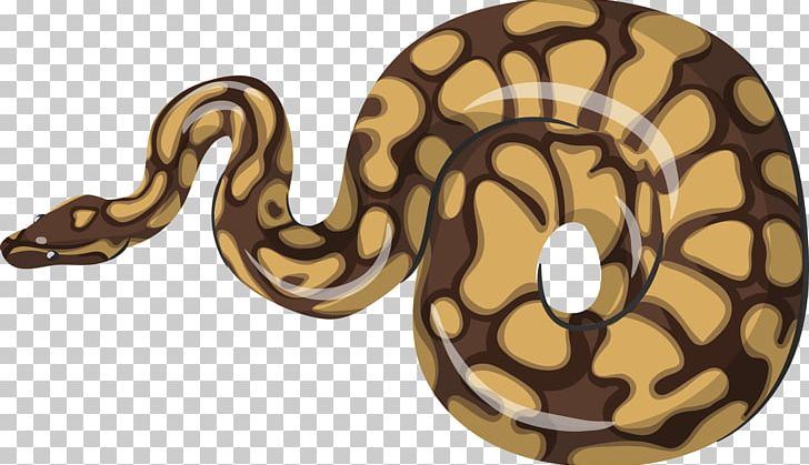 Boa Constrictor Reptile Vipers Snake PNG, Clipart, Animal, Animals, Atheris Chlorechis, Atheris Squamigera, Boa Constrictor Free PNG Download