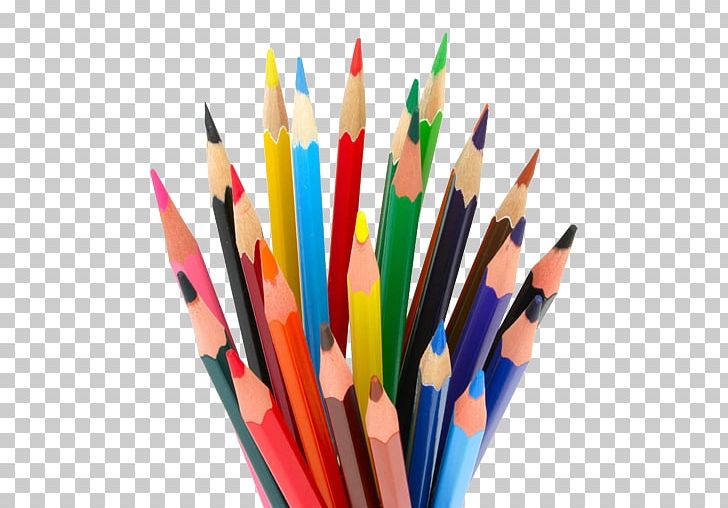 Colored Pencil Drawing Crayon PNG, Clipart, Art, Art Museum, Ballpoint Pen, Color, Colored Pencil Free PNG Download