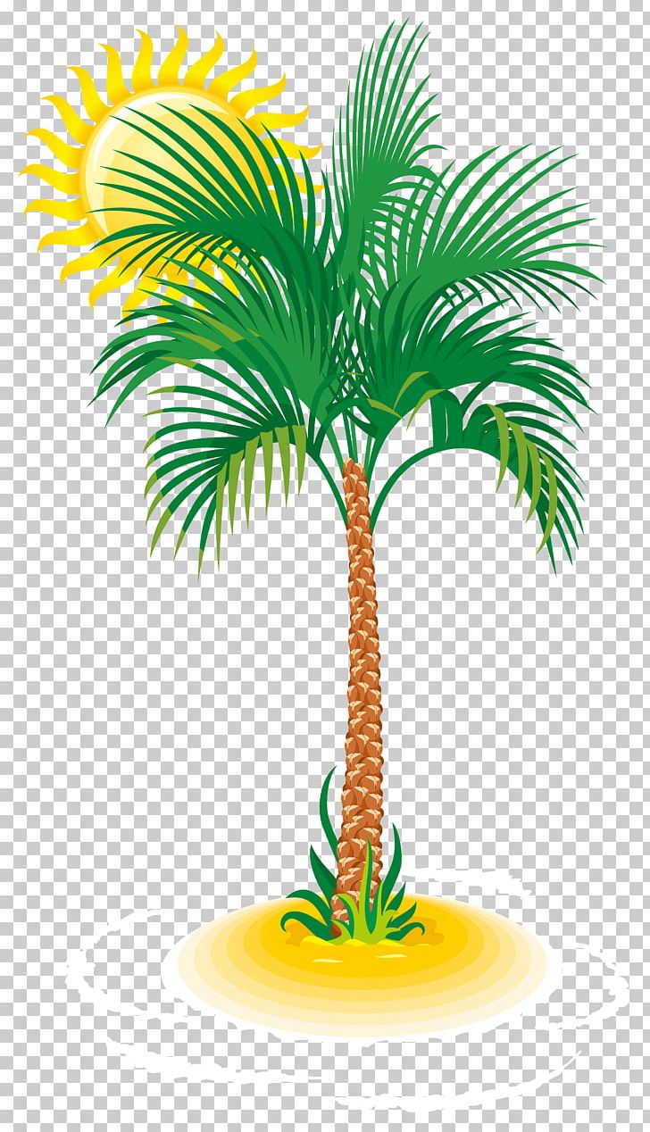 Arecaceae Tree PNG, Clipart, Arecaceae, Arecales, Beach, Clip Art, Clipart Free PNG Download