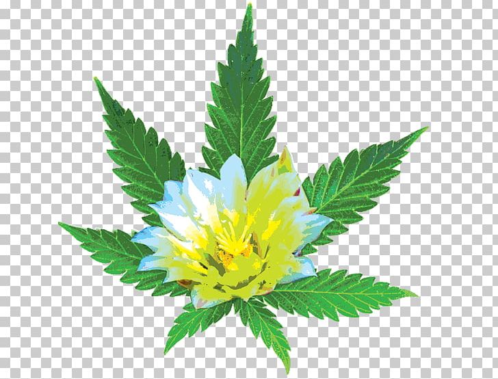 Desert Bloom Re-Leaf Center Medical Cannabis Cannabis Sativa Dispensary PNG, Clipart, Cannabis, Cannabis Sativa, Cannabis Shop, Center, Desert Bloom Free PNG Download