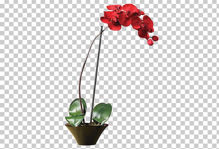 Moth Orchids Artificial Flower Rose PNG, Clipart, Arrangement, Artificial Flower, Arumlily, Blossom, Bud Free PNG Download