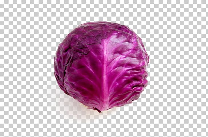 Red Cabbage Broccoli Cauliflower Brussels Sprout PNG, Clipart, Apple, Brassica Oleracea, Broccoli, Cabbage, Cauliflower Free PNG Download