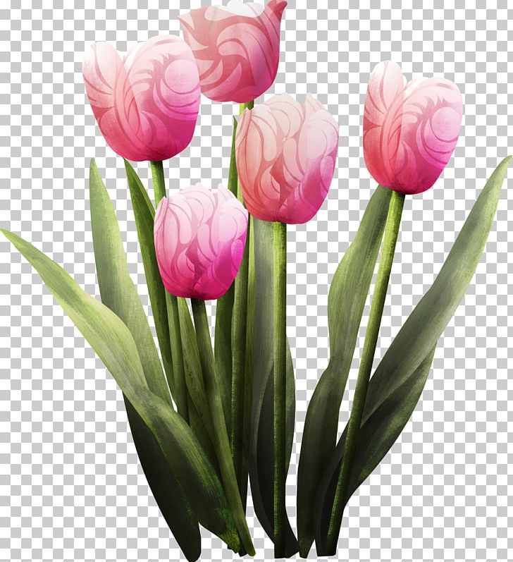 Tulip Cut Flowers Flower Bouquet PNG, Clipart, Cut Flowers, Floristry, Flower, Flower Bouquet, Flowering Plant Free PNG Download